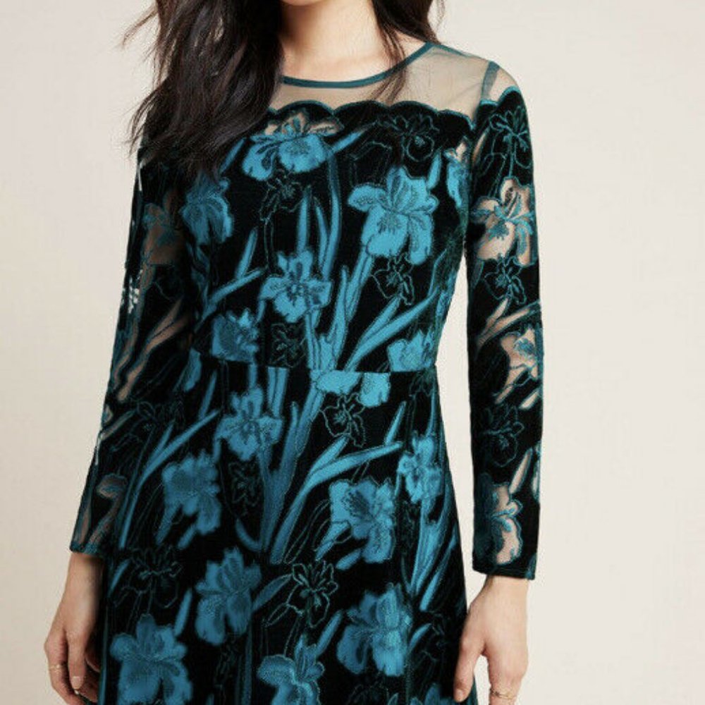 NEW! Eva Franco Juliet Floral Embroidered Velvet 8
